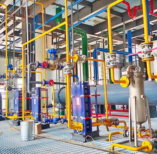 油菜籽生產線優勢